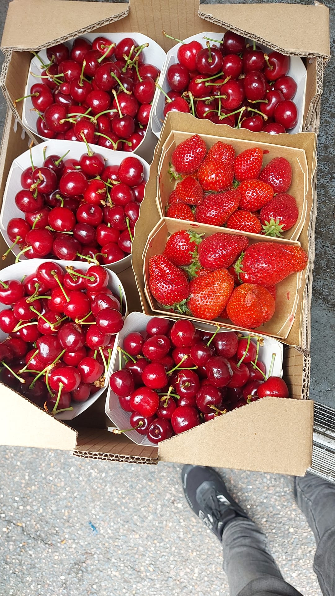 Dénoyauteur Cerises 7 Trous Rapide | Presse-dénoyauteur à cerises 7 trous - Cuisine Facile 